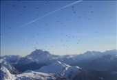 Suddenly the sky is awash with birds gliding over the mountains, bisected by a single condensation trail, at Rifugio Lagazuoi.: by lize86, Views[374]