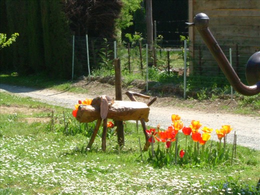 To Pee or Not to Pee! Lock keepers house along Staircase of locks near Beziers.