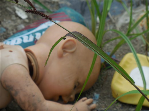 The dumps reveal the harsh truth of this 