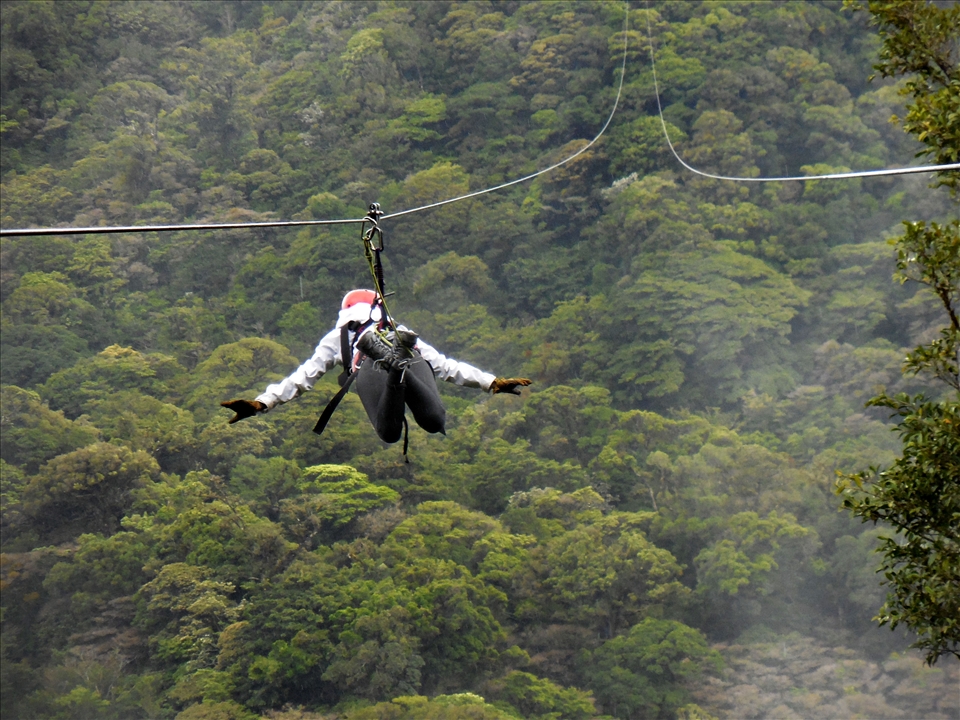 Katelyn Kennon soars over the rain forest canopy, ziplining in Monteverde.