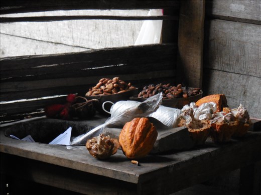 From fruit to seed to chocolate, cacao is sacred to the Bribri people.