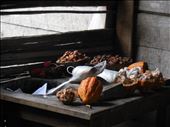 From fruit to seed to chocolate, cacao is sacred to the Bribri people.: by lizzieaton, Views[449]
