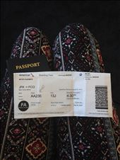 by lizzybeyer, Views[377]