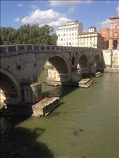 by lizzybeyer, Views[130]