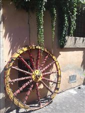 by lizzybeyer, Views[157]