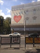 by lizzybeyer, Views[118]