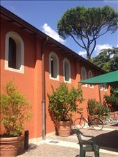 by lizzybeyer, Views[147]