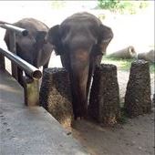 by ljkennedy, Views[593]