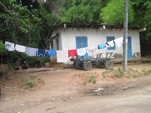 Necessities  of life...