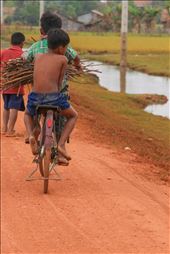 Children cycling home after collecting sticks throughout the day: by lltay, Views[287]