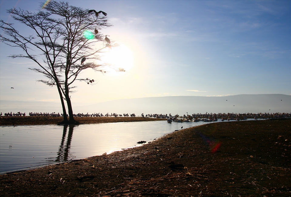 Simplicity. Lake Nakuru, Kenya.