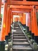 Fushimi Inari hike: by lmatejak99, Views[174]