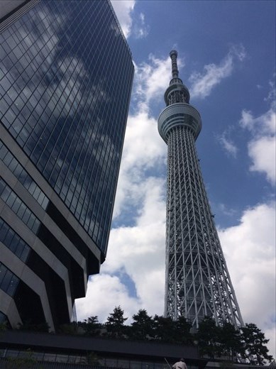 SkyTree Tower SkyTree Tower