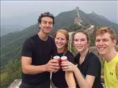 by lmatejak99, Views[175]