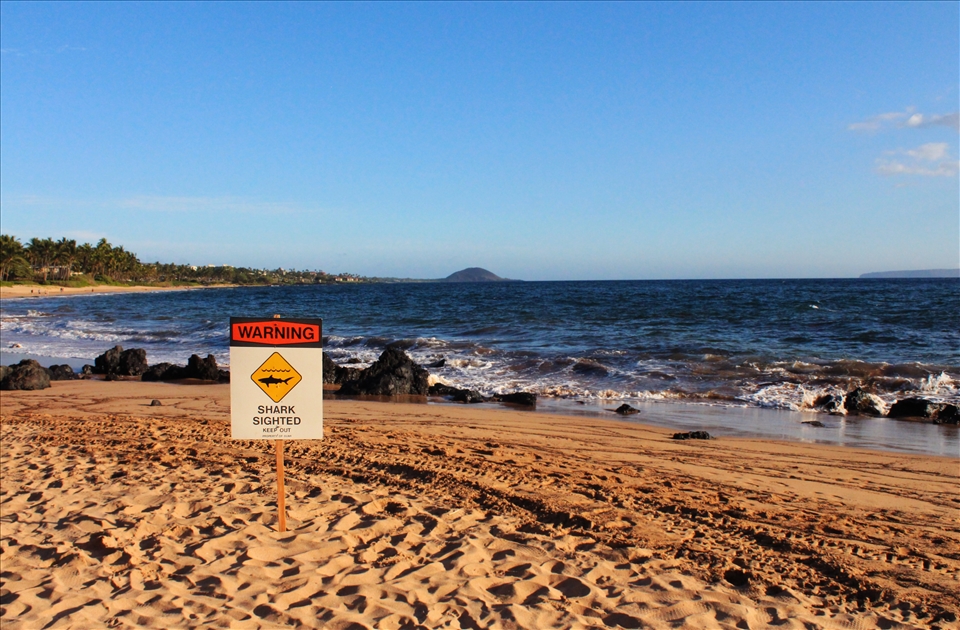 Shark attack just a few days into the trip