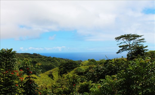 On the Road to Hana