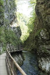 by lobbyland, Views[308]