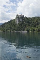 by lobbyland, Views[340]