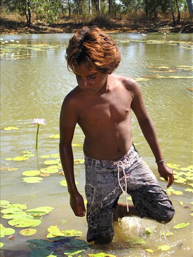 Fin demonstrating how to find Water Lilly's.