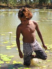 Fin demonstrating how to find Water Lilly's.: by localnomad, Views[288]