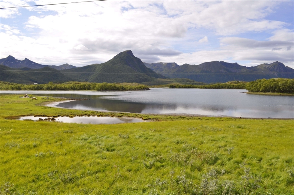 Lofoten Landsscape