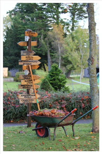 Michaelmas, celebrated on September 29th. This is our harvest festival, usually marked by courage games, building a harvest altar and sharing a communal meal. We have done a healthy, hearty amount of, gardening and leaf raking, before the harvest meal. 
