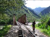 DESDE LA HIDROELÉCTRICA CERCANA A SANTA TERESA CAMINANDO HASTA AGUAS CALIENTES
Desde allí o tomas el tren o caminas. Nosotros habíamos decidido por una parte no pagar usd 35 por 40 min de tren; y por otra disfrutar del recorrido caminando al lado de las vías del tren rodeados de la vegetación y el río. Nos llevó 2hs llegar a Aguas Calientes. : by loloberlin, Views[1578]
