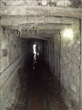 Saliendo del túnel de la mina del Cerro Potosí: by loloberlin, Views[532]