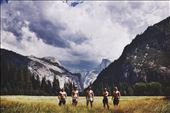 Yosemite National Park : by lonekiwi, Views[154]