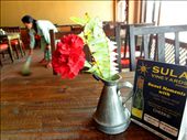 Restaurant near Bodhnath (Boudha) Stupa: by lonelytravelbod, Views[267]