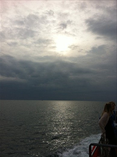 shame the rotate edit feature is not working