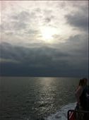 shame the rotate edit feature is not working: by longawaited, Views[304]