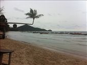 by longawaited, Views[229]