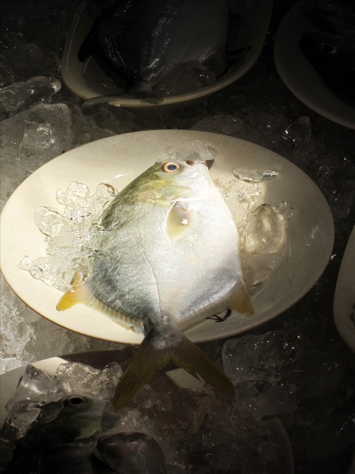 One of many, highlighted in the afternoon sun at the Lei Yu Mun Fish Market 