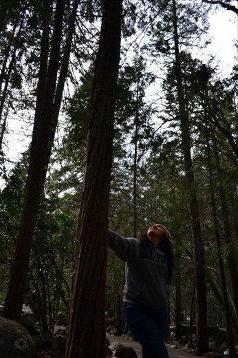 Humans:Nature
In this picture I portray the paradox of how big nature is compared to humans yet how humans have nature in their care, in their hands.