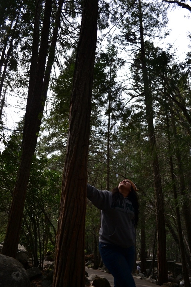 Humans:Nature
In this picture I portray the paradox of how big nature is compared to humans yet how humans have nature in their care, in their hands.