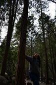 Humans:Nature
In this picture I portray the paradox of how big nature is compared to humans yet how humans have nature in their care, in their hands.: by lorenafranco, Views[314]