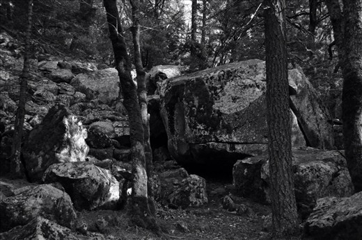 Of Moss and Stone
As we made our way towards Bridesvail Waterfall I was captivated by the serenity and mystery in this area and how the sunlight was filtered through the trees.