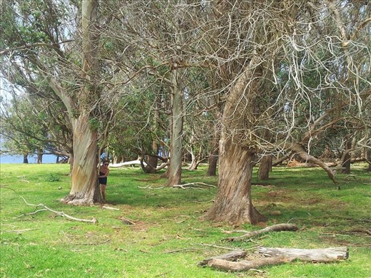 Top of the Terevaka Volcano