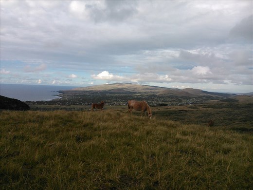 View from the top of Terevaka Volcano