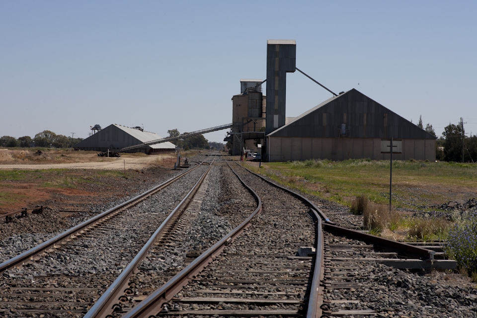 49 weeks of the year Bogan Gate, NSW is a ghost town.  In 2 to 3 weeks time, the area will be thriving with workers to harvest the canola grain.