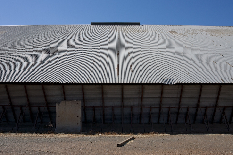 These sheds are in use for only a few weeks of the year.  when the canola harvest is on. This particular shed holds 200,000 tones of grain when full.