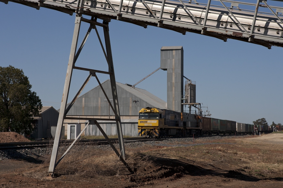 This freight train (about 1km long) only comes through Bogan Gate once a day.  It doesn't stop or even toot its horn, just passes on by.  Good thing too as there is no-one around to catch it.