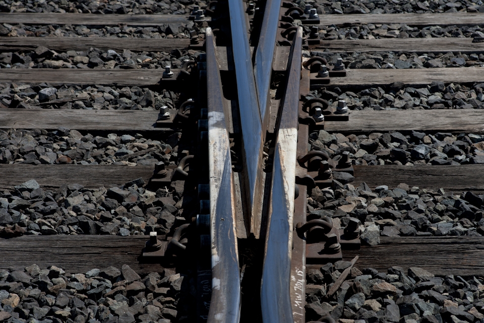 These tracks are at the switching junction on the way to the canola sheds for filling.  They have been here for years without being refreshed as only one train goes through a day at most