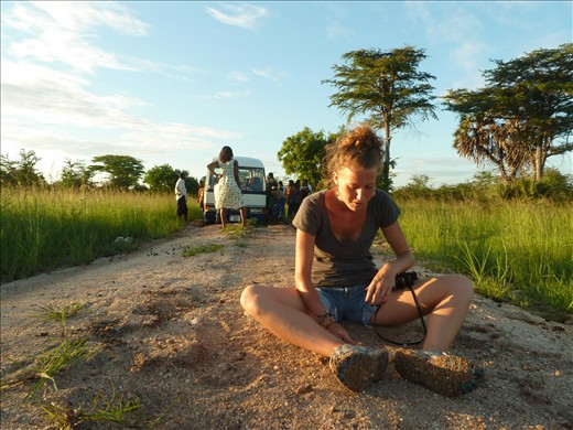 City bus stuck in the mud; exemplifying the urban disconnect with nature. 