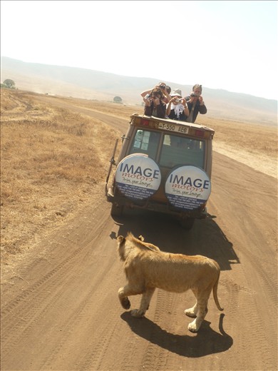 Tourism brings money, but creates a perception that the parks are for foreigners