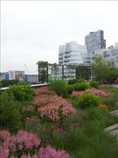 by los4words, Views[255]