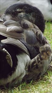 by los_viajes_de_mi_vida, Views[264]