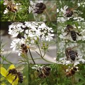 by los_viajes_de_mi_vida, Views[281]