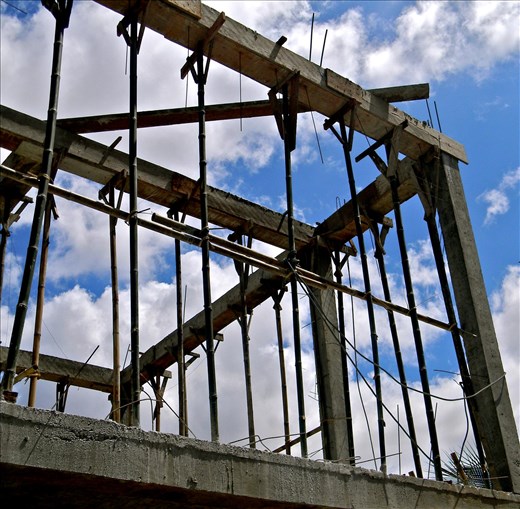 Caged-So close to the freedom of the sky.